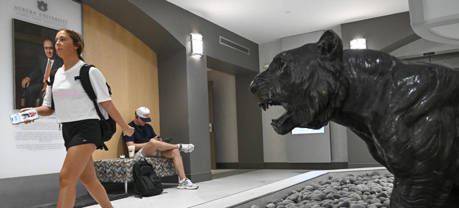 Advising resources - student walking