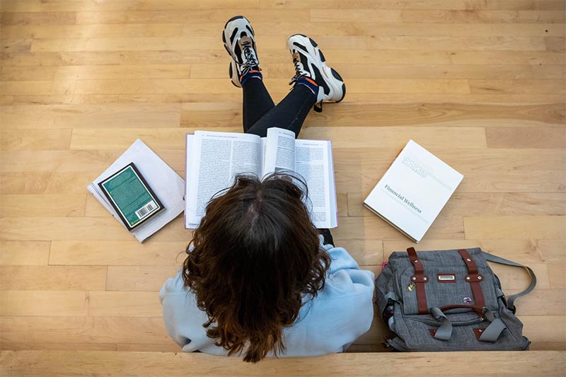 2024 Tiger Giving Day