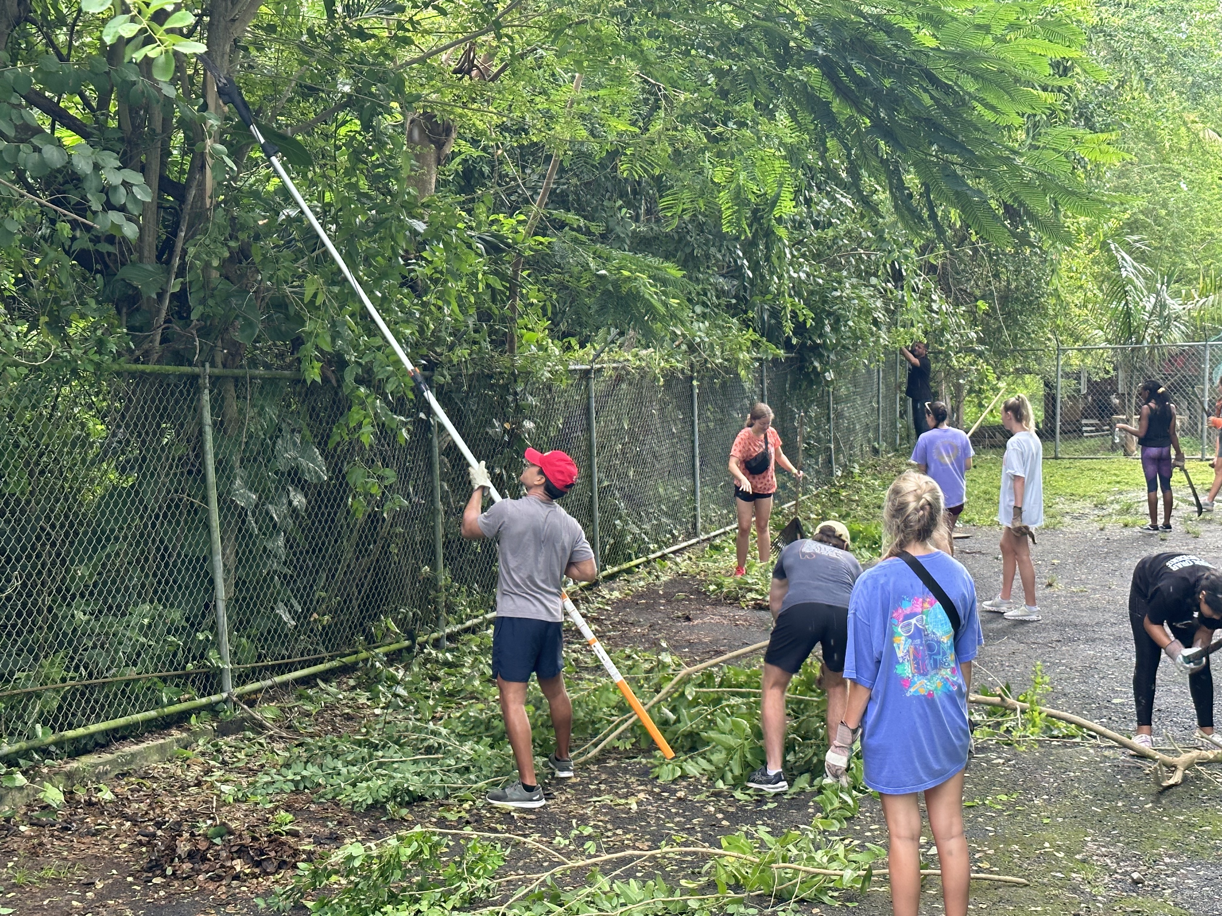 MAcc students yardwork service project